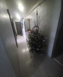 ��������� �������� ����������� ����, ³�����, ³�������, ���������� ���� 5