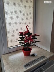 ������ 1� �������� 40 ��. � �� ���. �����������, 6 ���� 1