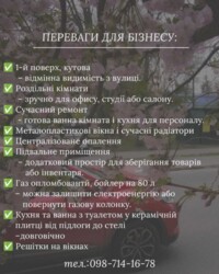 ПЕРШИЙ поверх, 2-х кiмнатна, КУТОВА квартира з власним переплануванням фото 7 ПЕРШИЙ поверх, 2-х кiмнатна, КУТОВА квартира з власним переплануванням фото 7