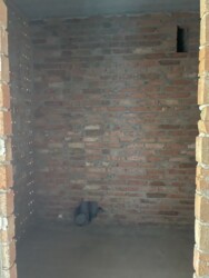 Forest home, ���������� ���� 7