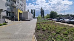 ��������� �������� ³�����, ³������� ���� 8