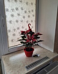 Продаж 1к квартири 40 кв. м фото 1 Продаж 1к квартири 40 кв. м фото 1