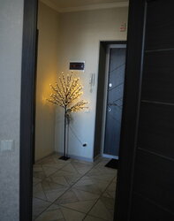 ������ 1� �������� 46.1 ��. � �� ���. �������� ����� 13� ������ 1 ���� 8