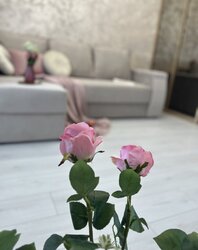 Продається квартира Вінниця, Вінницька, Ленінський, Академічний фото 19 Продається квартира Вінниця, Вінницька, Ленінський, Академічний фото 19