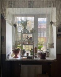 Продається з окремостоячим гаражем! фото 14 Продається з окремостоячим гаражем! фото 14