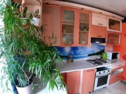 ������ �������� ���� 10