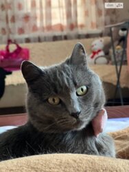 ������ 2� �������� 46.6 ��. � �� ���. ����������� 9 ���� 10