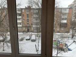 ��������� �������� ³�����, ³�������, ������������� ���� 13