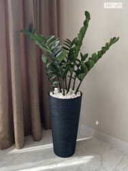 ������ 1� �������� 48 ��. � �� ���. 600-���� 3� ���� 8