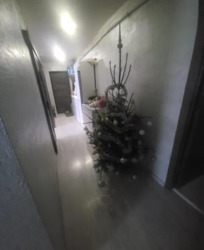 ��������� �������� ����������� ����, ³�����, ³�������, ���������� ���� 10