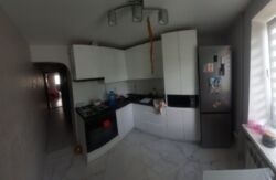 ��������� �������� ����������� ����, ³�����, ³�������, ���������� ���� 1