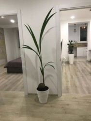 Продаж 1-кімнатної квартири Захисників України фото 7 Продаж 1-кімнатної квартири Захисників України фото 7