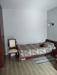 ������ 1-�������� �������� ������� ���� 2