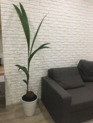 Продаж 1-кімнатної квартири Захисників України фото 11 Продаж 1-кімнатної квартири Захисників України фото 11