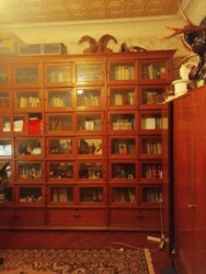 ������ 2-������� �������� � ����� ����,�.����������� ��������. ���� 7