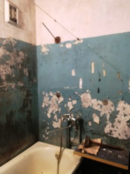 ������ 1-��������� �������� �� �������� ���� 6