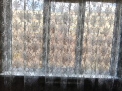 ������� 4-��������� �������� �� �������� ���� 6