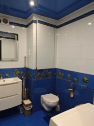 Продаж 2-х кімнатної квартири Холодна гора вул.Олександри Єфименко , 18 фото 9 Продаж 2-х кімнатної квартири Холодна гора вул.Олександри Єфименко , 18 фото 9