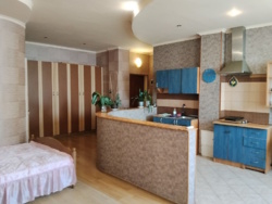 1-комн. квартира-студия 44м² Пантелеймоновская / Преображенская / ПРИВОЗ / ДОМ 2008 г.п. фото 1 1-комн. квартира-студия 44м² Пантелеймоновская / Преображенская / ПРИВОЗ / ДОМ 2008 г.п. фото 1