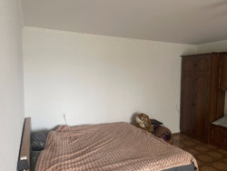 Простора 1-кімнатна квартира 47 м², 2 поверх, 2 балкони, Південно-Західний фото 2 Простора 1-кімнатна квартира 47 м², 2 поверх, 2 балкони, Південно-Західний фото 2