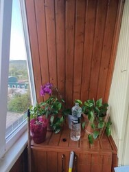 Продаж 2-кімнатної квартири, вул. Насипна фото 9 Продаж 2-кімнатної квартири, вул. Насипна фото 9