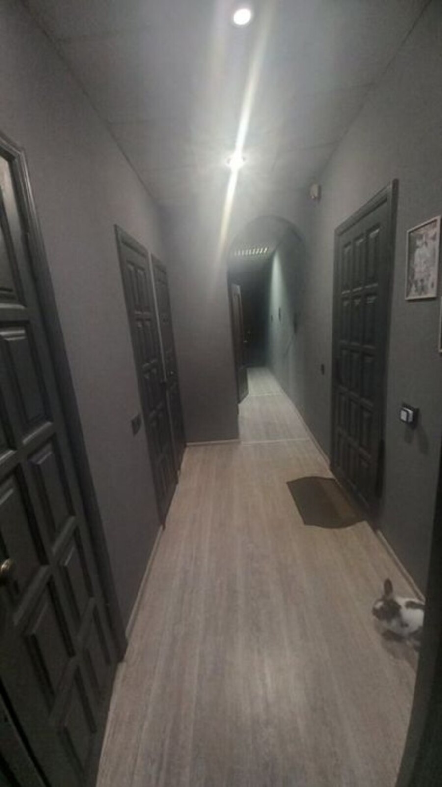 Продається квартира Полтавська, Полтава, Подільський, Дублянщина, Сортировочная ул. фото 1 Продається квартира Полтавська, Полтава, Подільський, Дублянщина, Сортировочная ул. фото 1