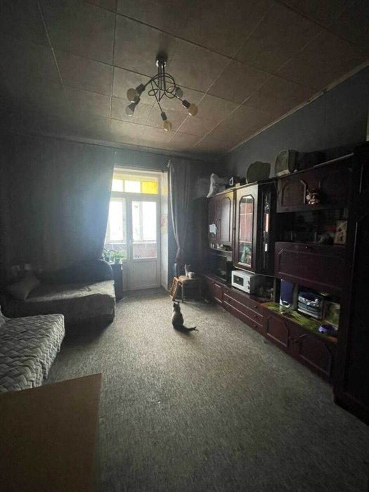 ������ �������� � ����� ���� ��� � 213-275-835 ���� 1