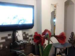 Эксклюзивная 5ти комн. квартира с ремонтом ! р-н Браилки код № 21131248 фото 4 Эксклюзивная 5ти комн. квартира с ремонтом ! р-н Браилки код № 21131248 фото 4