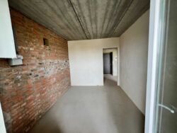   , ,  (),   8
