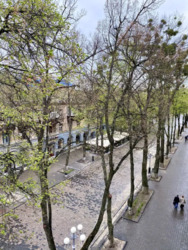  2-     213-213-503  7