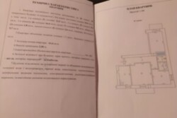   , ,  (), , . , 10  11