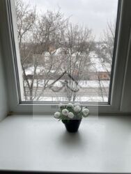 Продається квартира С. Петлюри, Полтава, Полтавська, Шевченківський (Жовтневий), Центр фото 14 Продається квартира С. Петлюри, Полтава, Полтавська, Шевченківський (Жовтневий), Центр фото 14