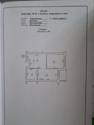   , ,  (), ,  , 146  10