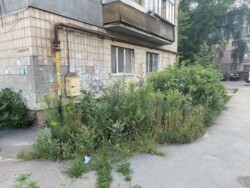Продаж квартири на Мотель код № 213-313-251 фото 2 Продаж квартири на Мотель код № 213-313-251 фото 2