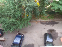 Продається квартира Соборності 46, Полтава, Полтавська, Шевченківський (Жовтневий), Центр фото 24 Продається квартира Соборності 46, Полтава, Полтавська, Шевченківський (Жовтневий), Центр фото 24