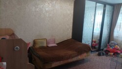       213-094-500  2