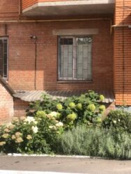 Продається квартира Затишна, Полтава, Полтавська, Шевченківський (Жовтневий), Центр фото 11 Продається квартира Затишна, Полтава, Полтавська, Шевченківський (Жовтневий), Центр фото 11