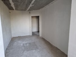        213-063-542  3