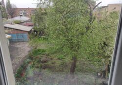 ��������� �������� �������, ����������, ������������� (���������) ���� 18