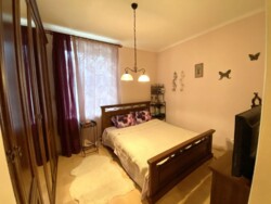  2-     213-213-503  2