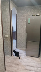   , , ,   10