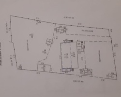           213-099-110  19