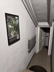   , ,  (),   8