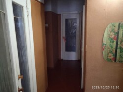         213-039-422  2
