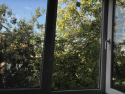 ��������� �������� �������, ���������� ���� 6