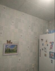  1       212887996  14