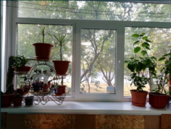  3-      211996463  13