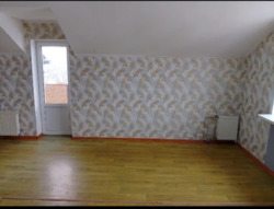 ������ ���� 7