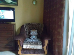 Продається квартира Соборності 46, Полтава, Полтавська, Шевченківський (Жовтневий), Центр фото 2 Продається квартира Соборності 46, Полтава, Полтавська, Шевченківський (Жовтневий), Центр фото 2