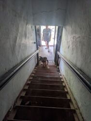   ,   3